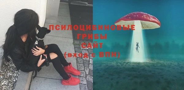 ECSTASY Балабаново