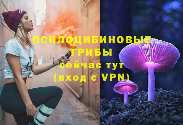 mdpv Арсеньев
